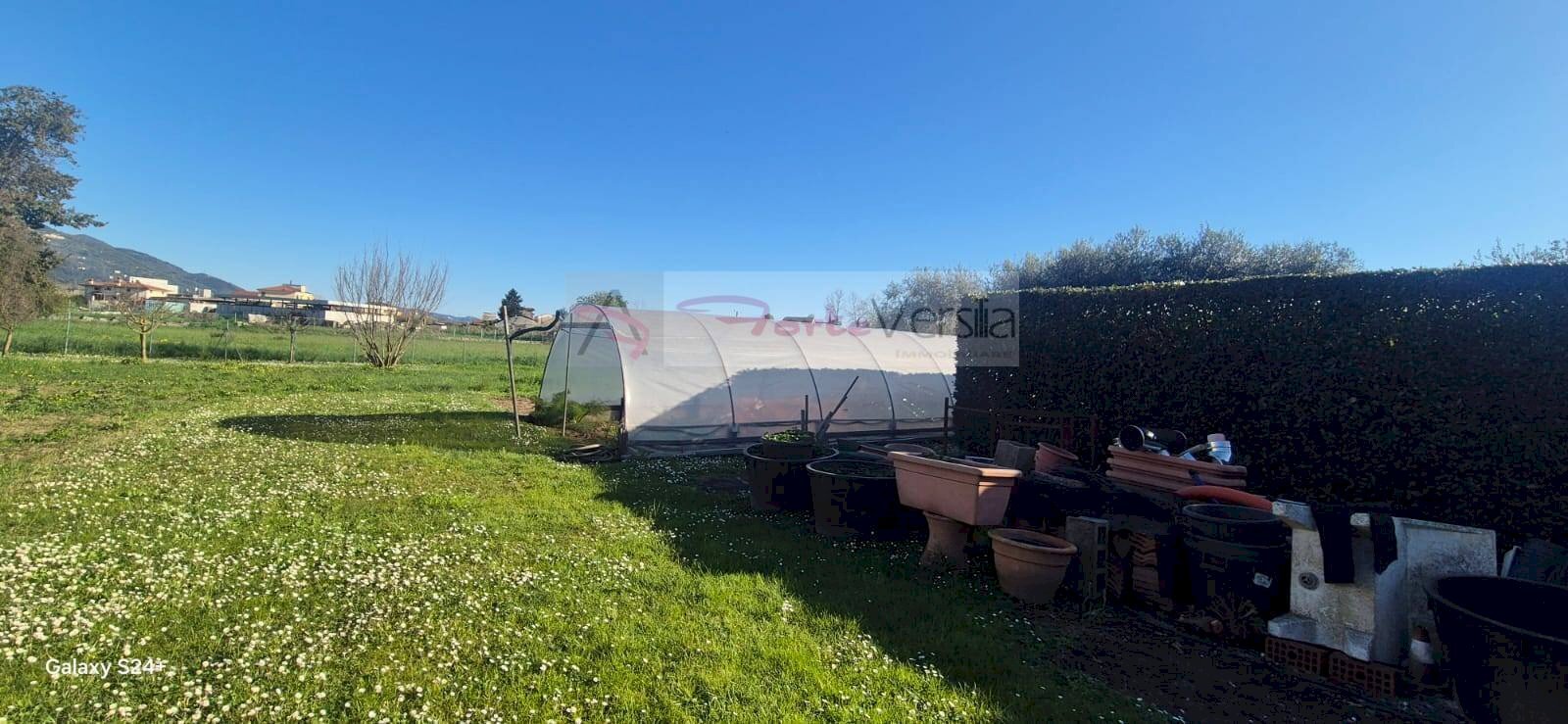 Foto 2 - Terreno agricolo Forte dei Marmi - foto 2