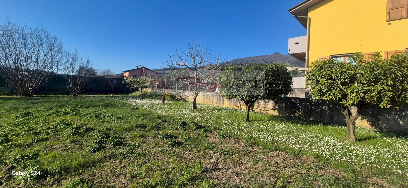 Foto 3 - Terreno agricolo Forte dei Marmi - foto 3