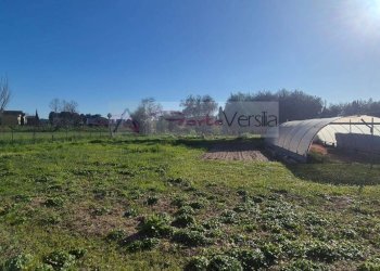 Foto 1 - Terreno agricolo Forte dei Marmi - foto 1