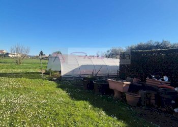 Foto 2 - Terreno agricolo Forte dei Marmi - foto 2