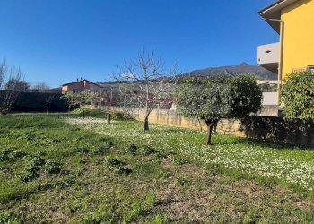 Foto 3 - Terreno agricolo Forte dei Marmi - foto 3