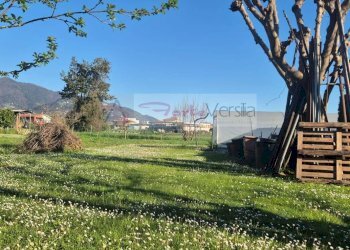 Foto 4 - Terreno agricolo Forte dei Marmi - foto 4