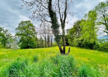 Foto 10 - Villa Lucca - foto 10