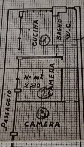 Planimetria - Trilocale Massa - planimetria 1