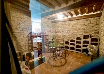 Foto 21 - Villa Forte dei Marmi - foto 21