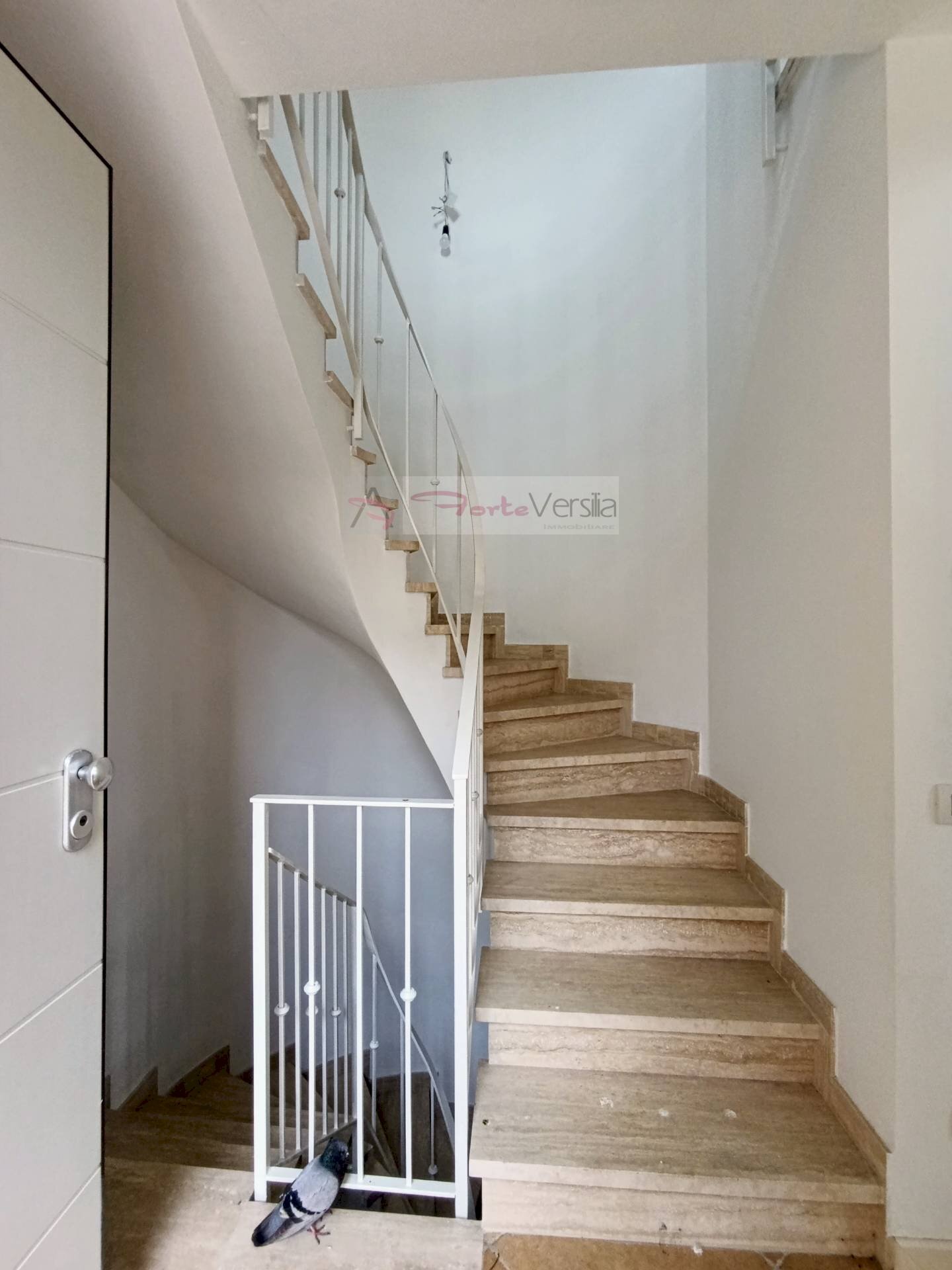 Foto 3 - Villa Pietrasanta - foto 3