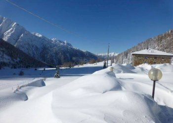 Foto 7 - Appartamento Ponte di Legno - foto 7