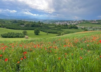 dintorni - Bilocale Via S. Anna, Roburent - foto 20