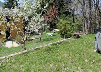 giardino 2 - Casa semi indipendente Via Delle Manere
 
11, Roburent - foto 7