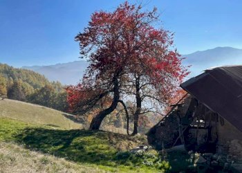 dintorni - Casa semi indipendente Via Delle Manere
 
11, Roburent - foto 23