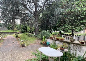 giardino privato - Stabile - Palazzo Via Pietro Nallino
 
6, Mondovì - foto 4