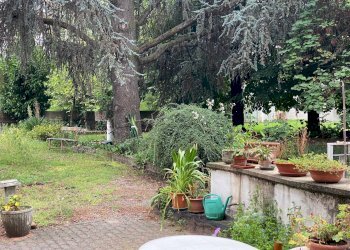 giardino - Stabile - Palazzo Via Pietro Nallino
 
6, Mondovì - foto 22