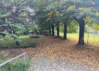giardino privato - Stabile - Palazzo Via Pietro Nallino
 
6, Mondovì - foto 24