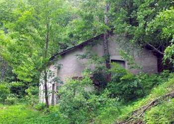 fabbricati località Biula - Terreno agricolo Garessio - foto 7