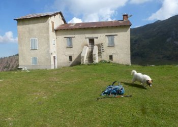 località Manolino - Terreno agricolo Garessio - foto 17