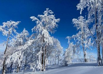 neve - Appartamento via Giangirone
 
30, Roburent - foto 29