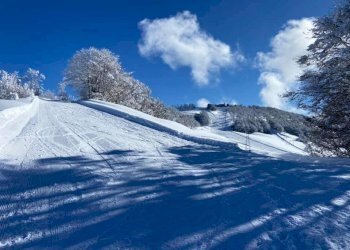 dintorni - Magazzino Via Provinciale, Roburent - foto 11