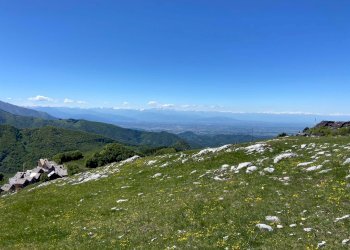 dintorni - Magazzino Via Provinciale, Roburent - foto 14