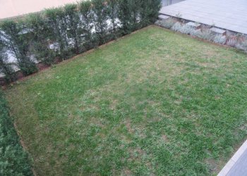 giardino - Stabile - Palazzo Via Quadrone
 
9, Mondovì - foto 18