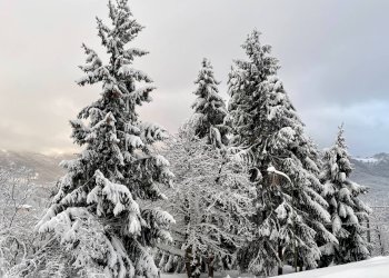 neve - Bilocale Via Tetti
 
2, Roburent - foto 23