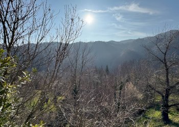 vista - Casa indipendente Località Oberti
 
4, Montaldo di Mondovì - foto 9