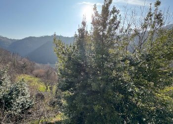 vista - Casa indipendente Località Oberti
 
4, Montaldo di Mondovì - foto 10