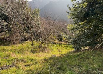 giardino - Casa indipendente Località Oberti
 
4, Montaldo di Mondovì - foto 21