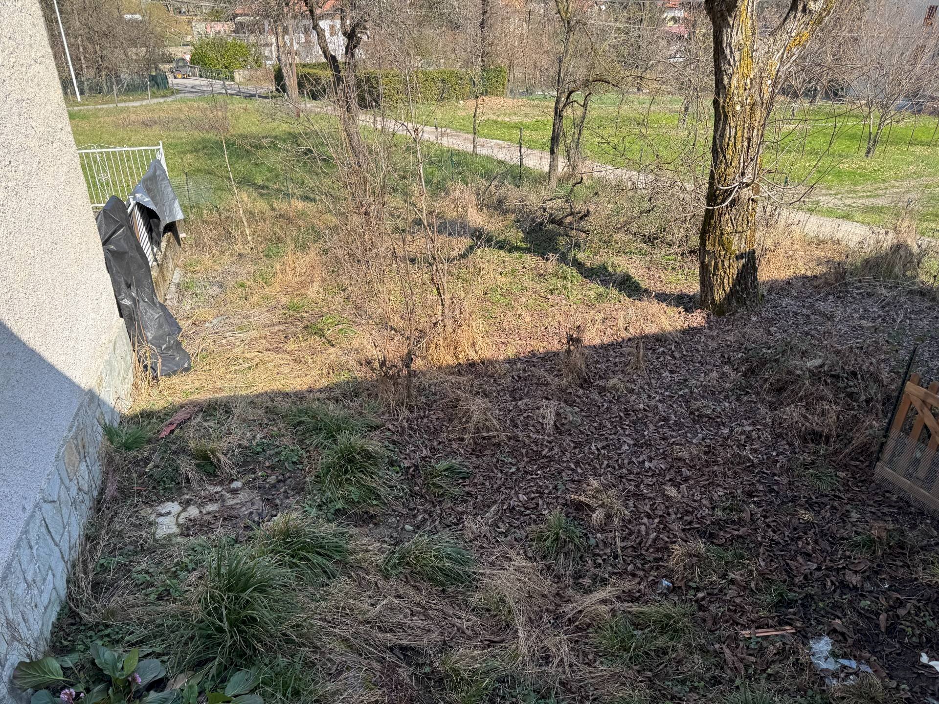 giardino - Stabile - Palazzo Via Gallini Soprani
3, Roccaforte Mondovì - foto 3