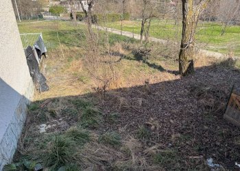 giardino - Stabile - Palazzo Via Gallini Soprani
 
3, Roccaforte Mondovì - foto 3