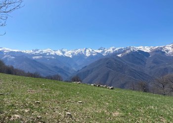 dintorni - Stabile - Palazzo Via Gallini Soprani
 
3, Roccaforte Mondovì - foto 19