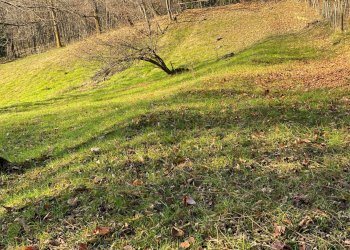 terreni - Independent house Via San Maurizio
 
13, Roccaforte Mondovì - photo 12