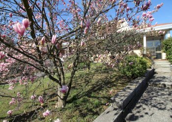 Giardino - Casa indipendente Via Val della Torre
 
349, Caselette - foto 47