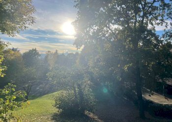 Giardino condominiale - Appartamento Strada Milius
 
3, Moncalieri - foto 21