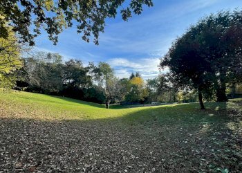 Giardino condominiale - Appartamento Strada Milius
 
3, Moncalieri - foto 22