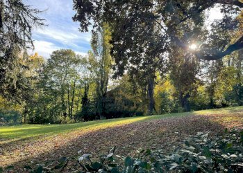 Giardino condominiale - Appartamento Strada Milius
 
3, Moncalieri - foto 47