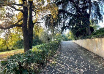 Giardino condominiale - Appartamento Strada Milius
 
3, Moncalieri - foto 50