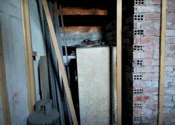 Foto 7 - Magazzino Strada Torino Pianezza
 
41 bis, Collegno - foto 7