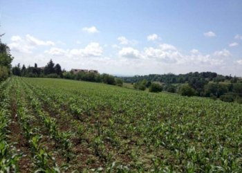 Foto 5 - Rustico Via Roccati, Chieri - foto 5