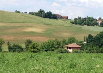 Foto 7 - Rustico Via Roccati, Chieri - foto 7