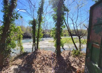 Foto 19 - Capannone VIA BRICCA
 
20, Pianezza - foto 19