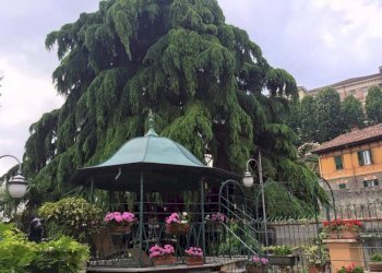 Foto 73 - Casa indipendente via Al Castello
 
29, Rivoli - foto 73