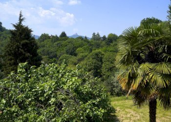 Foto 22 - Villa Strada San Martino
 
35, Castiglione Torinese - photo 22