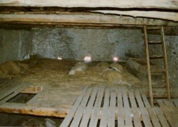 Foto thures (5) - Baita Borgo Thures, Cesana Torinese - photo 11