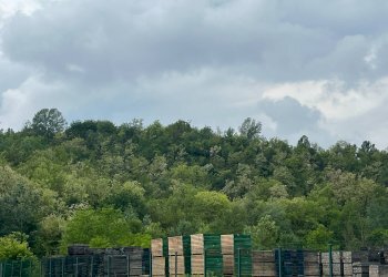 Foto 26 - Hotel Via Vecchia Fornace
 
11, Castell'Alfero - foto 26