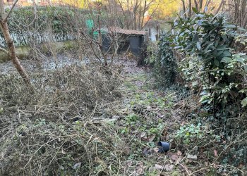 Foto 17 - Rustic Via Alfieri
 
5, Cunico - photo 17