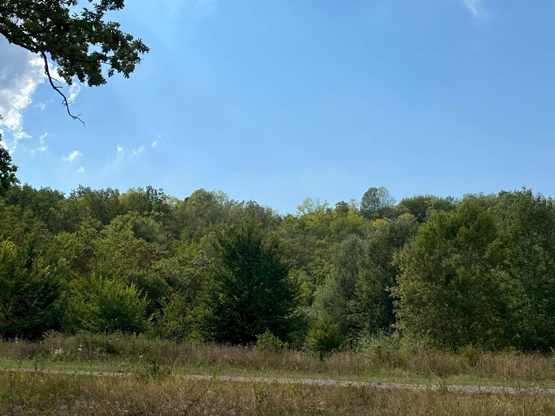 Foto 3 - Terreno agricolo Via Casale
52, Castell'Alfero - foto 3