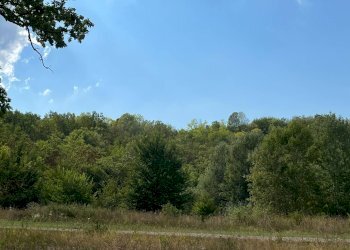 Foto 3 - Agricultural land Via Casale
 
52, Castell'Alfero - photo 3