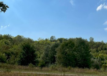 Foto 4 - Agricultural land Via Casale
 
52, Castell'Alfero - photo 4