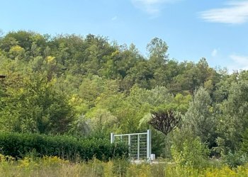 Foto 6 - Agricultural land Via Casale
 
52, Castell'Alfero - photo 6