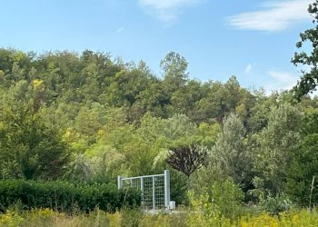 Foto 7 - Agricultural land Via Casale
 
52, Castell'Alfero - photo 7